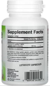 Berberine Lipomicel Matrix Softgels for Healthy Aging and Weight Management, 500 Mg, 60 Softgels